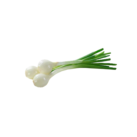 CEBOLLIN (ATADO)