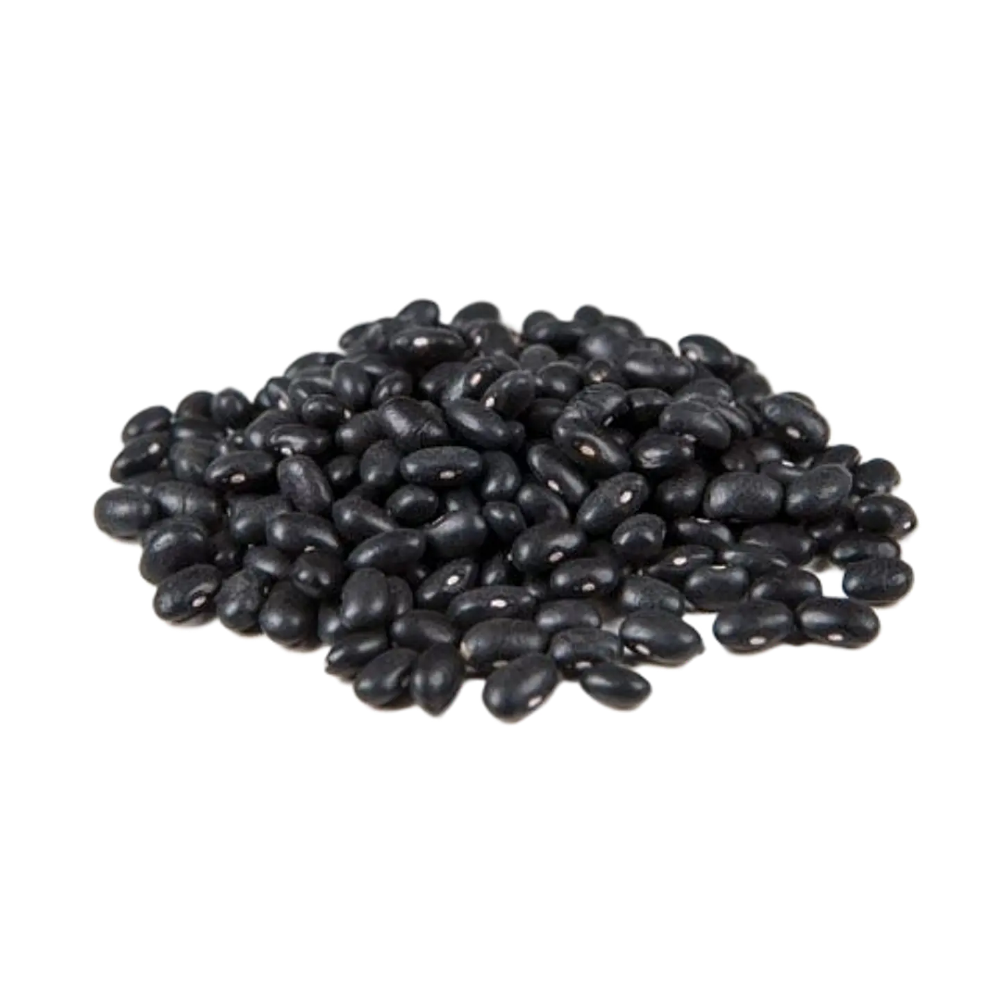 POROTO NEGRO 500gr 1
