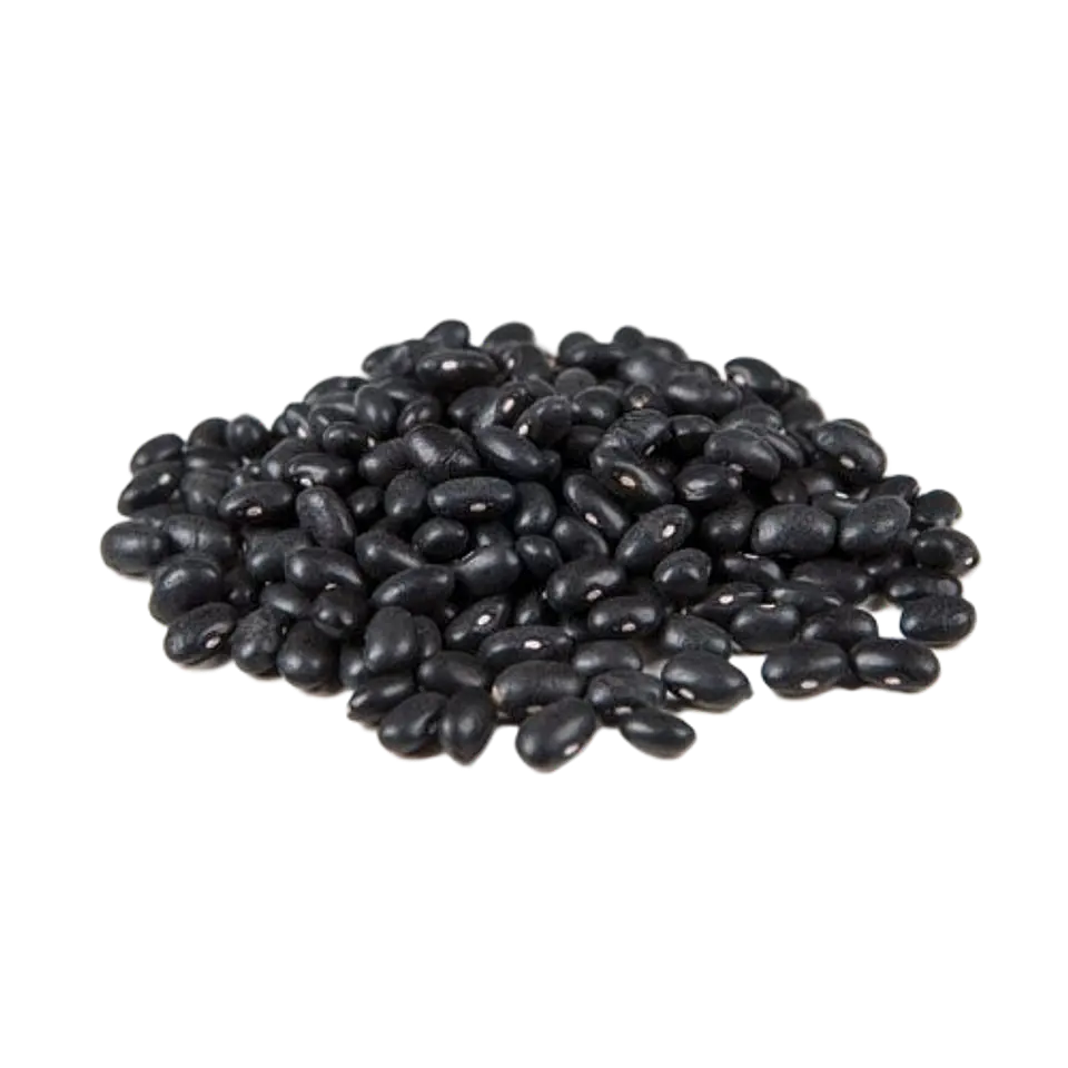 POROTO NEGRO 500gr 1