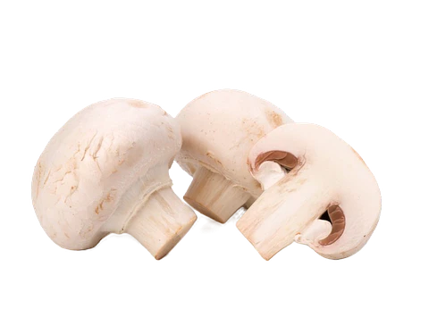 CHAMPIÑON BLANCO 250gr