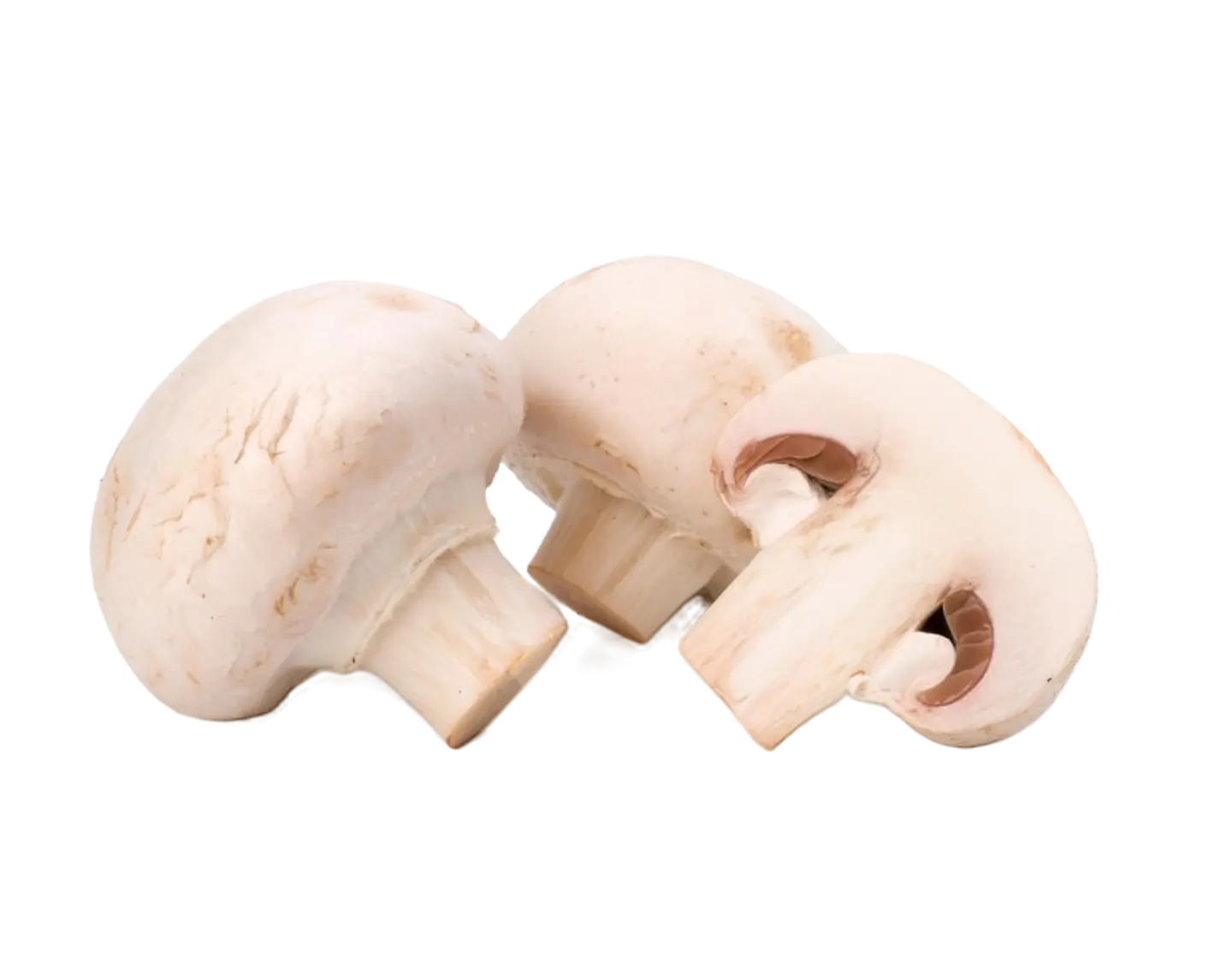 CHAMPIÑON BLANCO 250gr 1