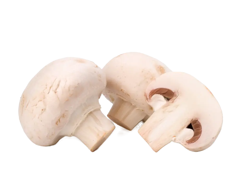 CHAMPIÑON BLANCO 250gr 1