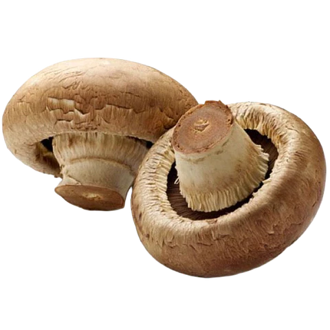 CHAMPIÑON  PORTOBELLO250gr