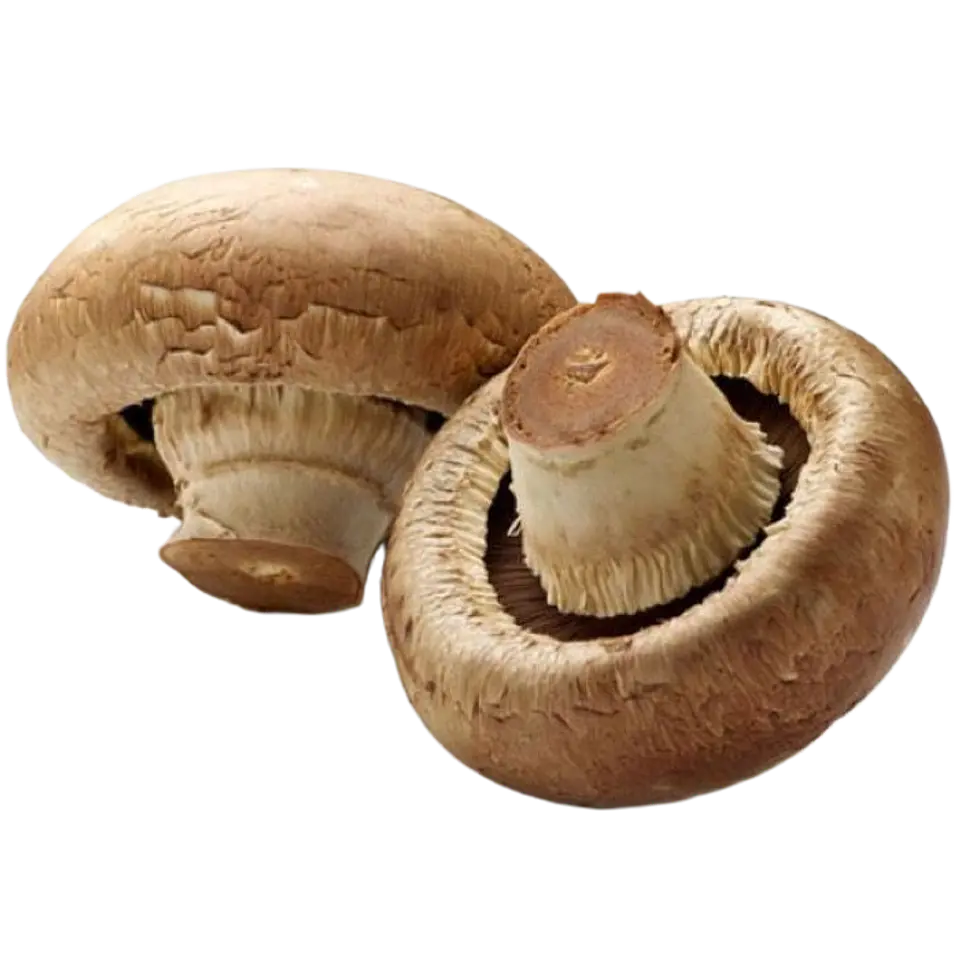 CHAMPIÑON  PORTOBELLO 250gr 1