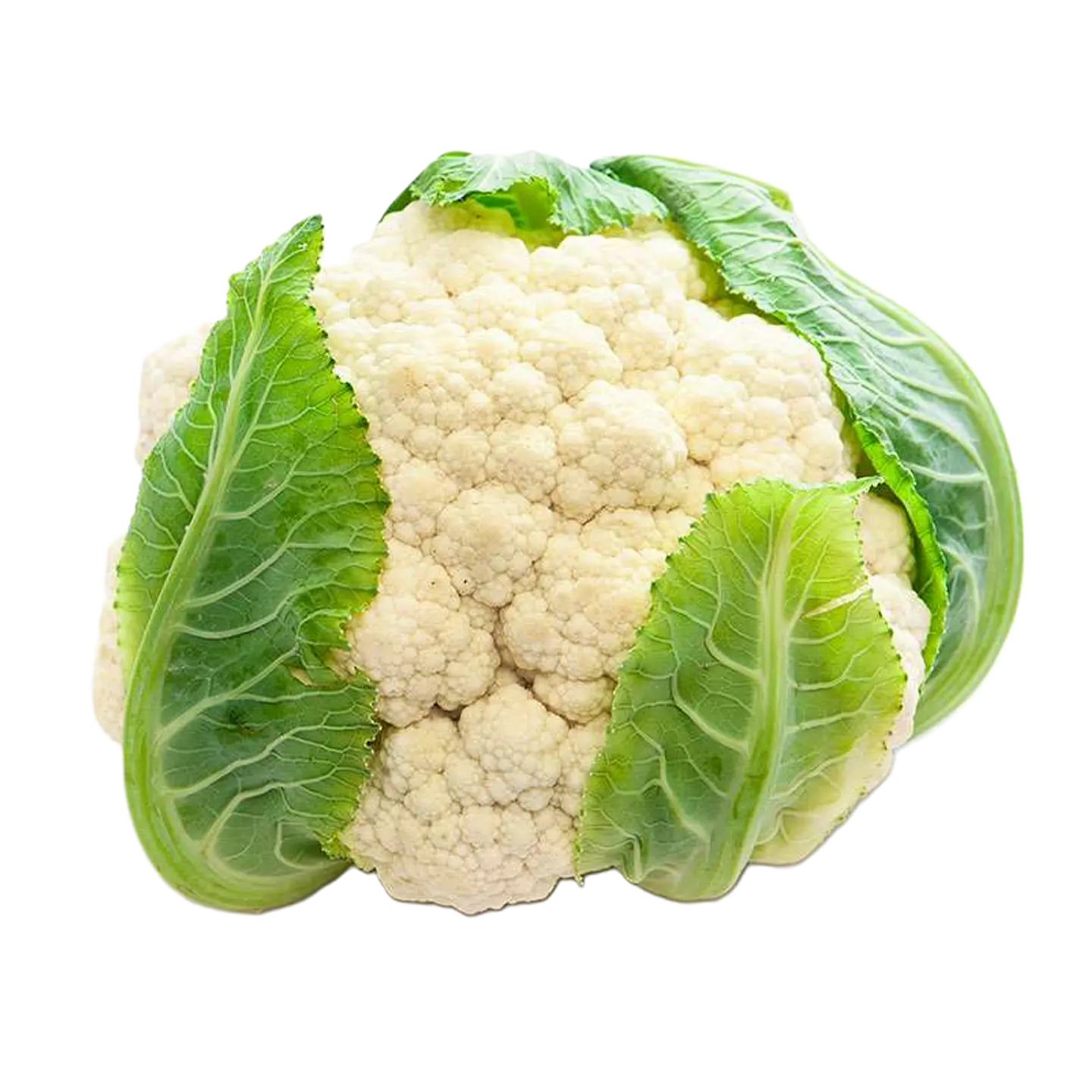 COLIFLOR (UNIDAD) 1