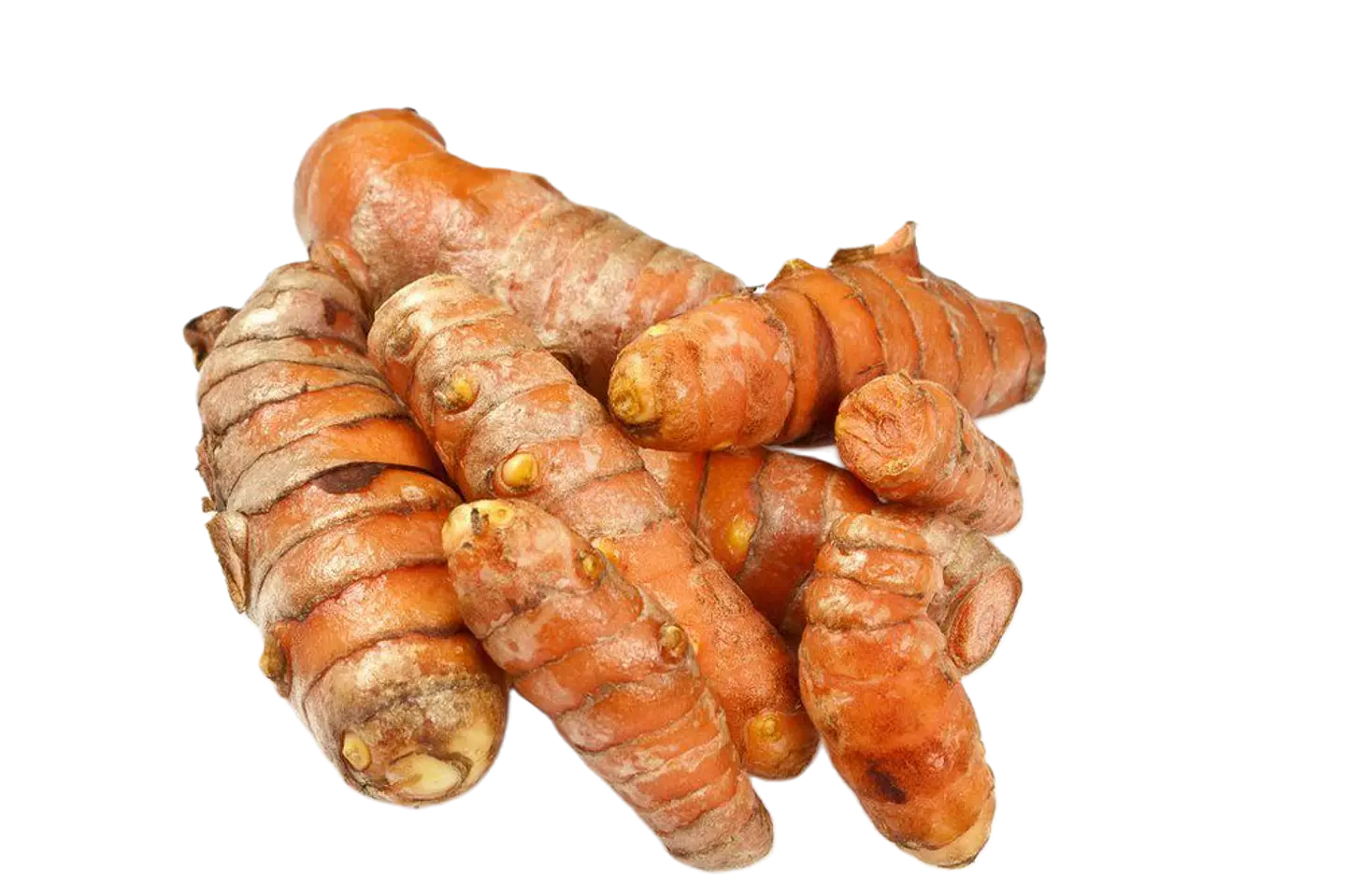 CURCUMA 100gr 1
