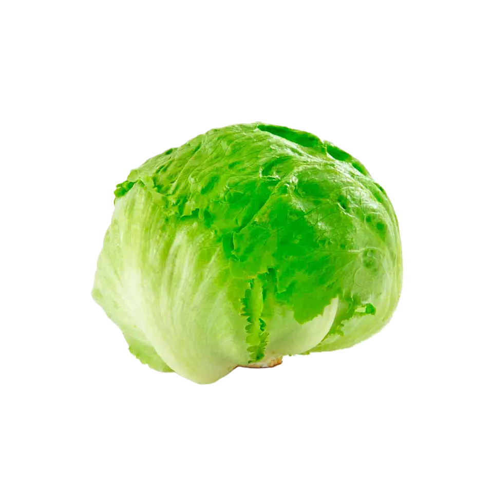 LECHUGA ESCAROLA (UNIDAD) 1