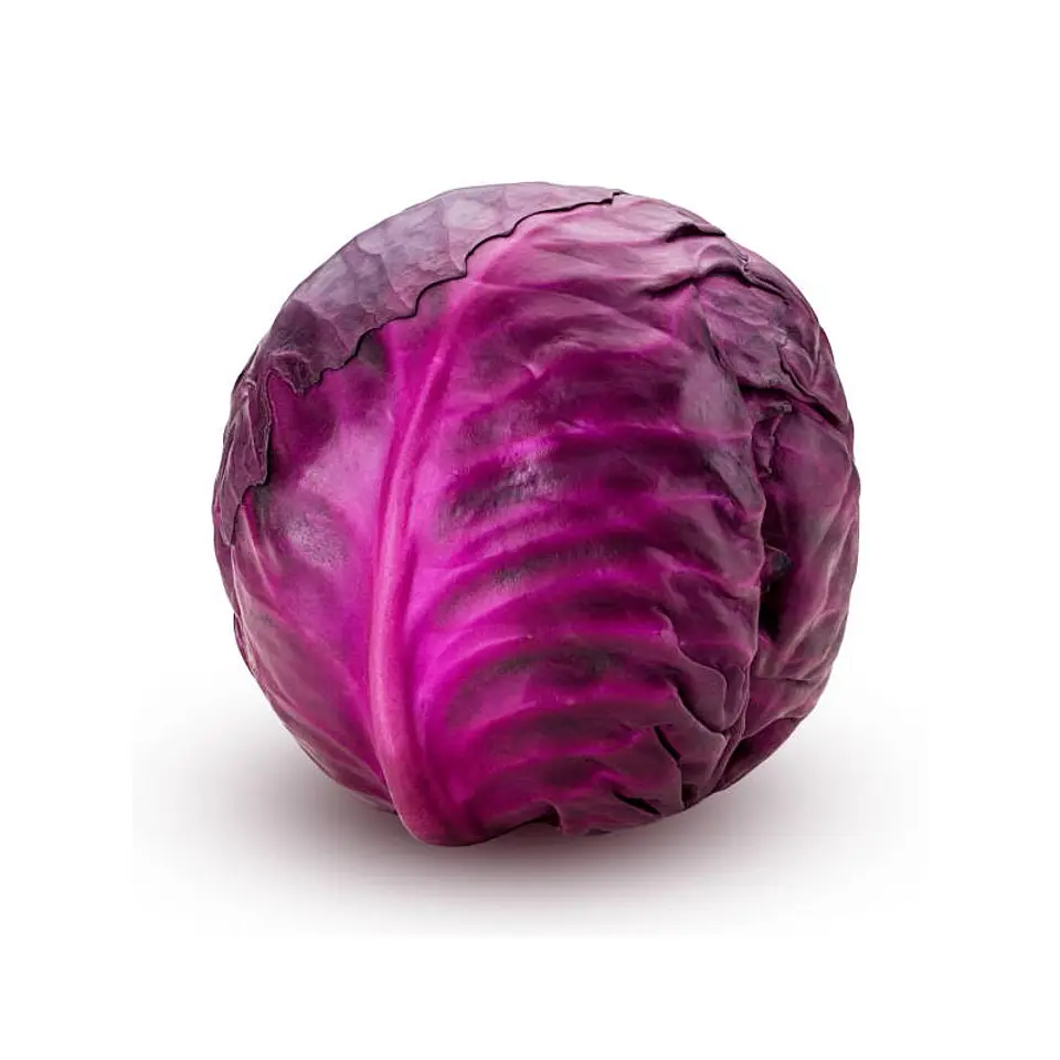 REPOLLO MORADO 1