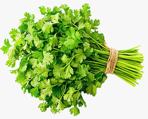 CILANTRO ATADO 100gr