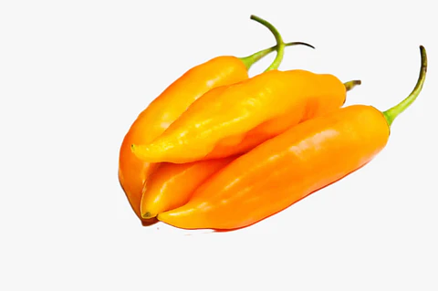 Aji Amarillo 250gr