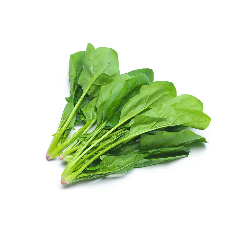 Espinaca 1