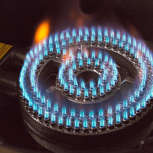 DISCO GOURMET URSUS TROTTER / GAS LICUADO