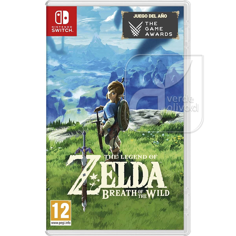 LEGEND OF ZELDA BREATH OF THE WILD  1