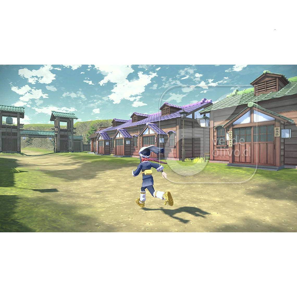 POKEMON LEGENDS ARCEUS  4