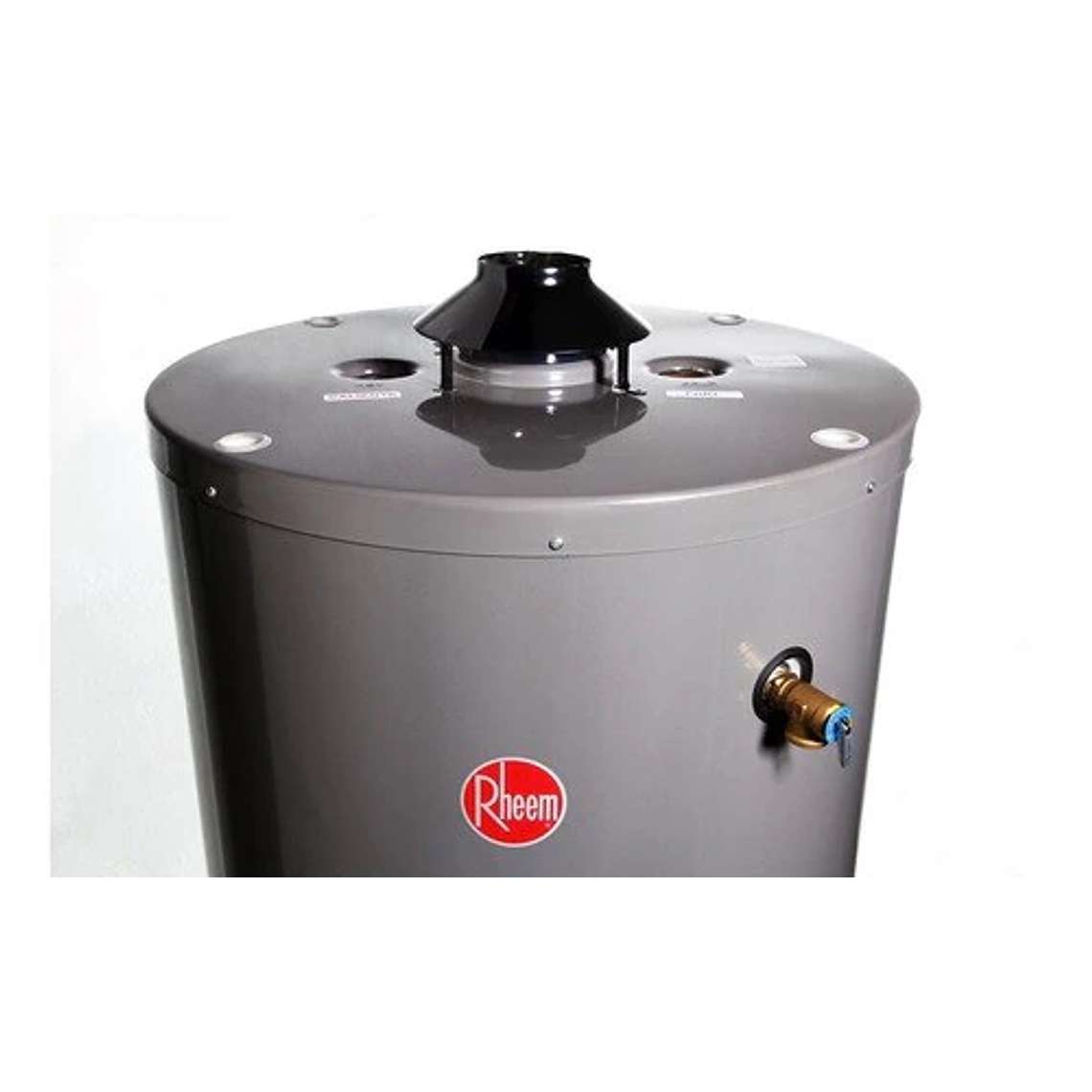 TERMO A GAS NATURAL RHEEM 114 LITROS 2