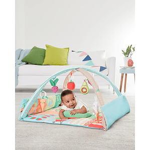 Gimnasio de Actividades para Crecer y Jugar.