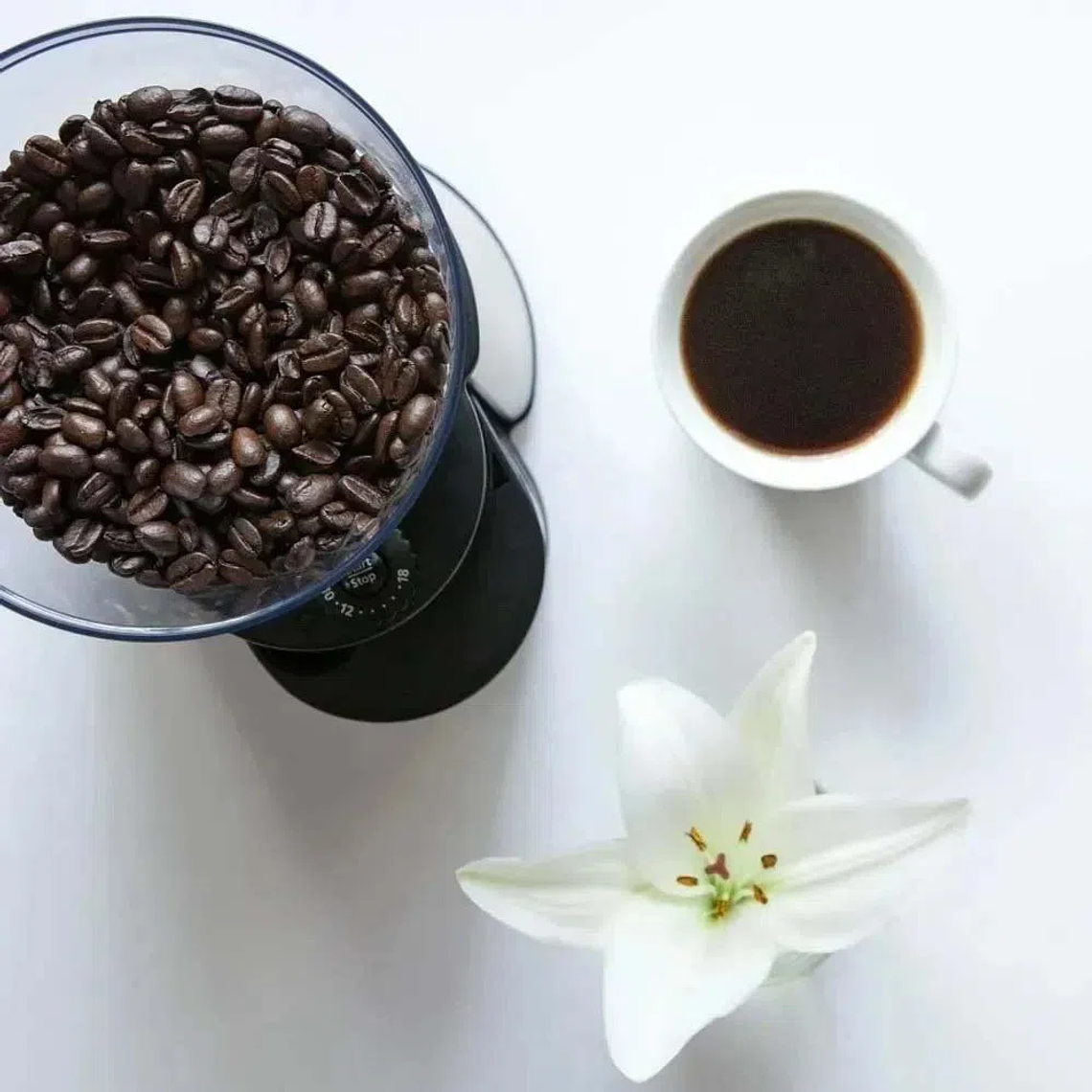 MOLINILLO DE CAFÉ OSTER,CON 18 AJUSTES DE GROSOR, BVSTBMH23 4