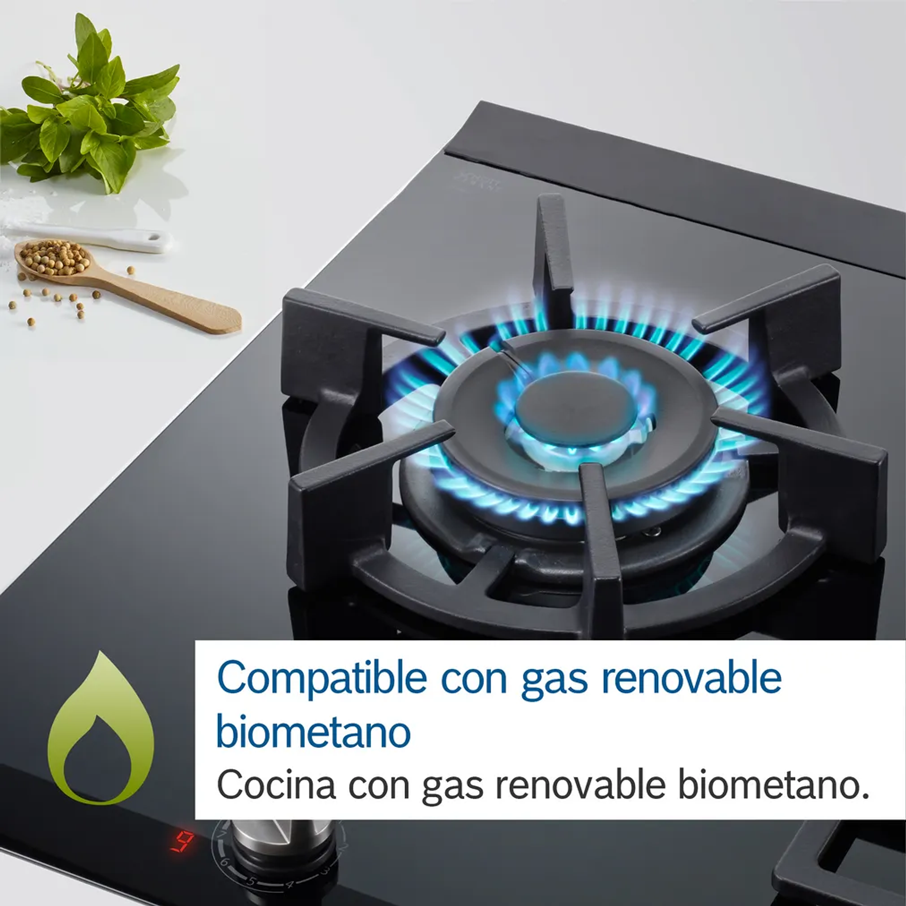 Serie 4 Placa de gas 60 cm Vidrio templado, Negro Gas Natural