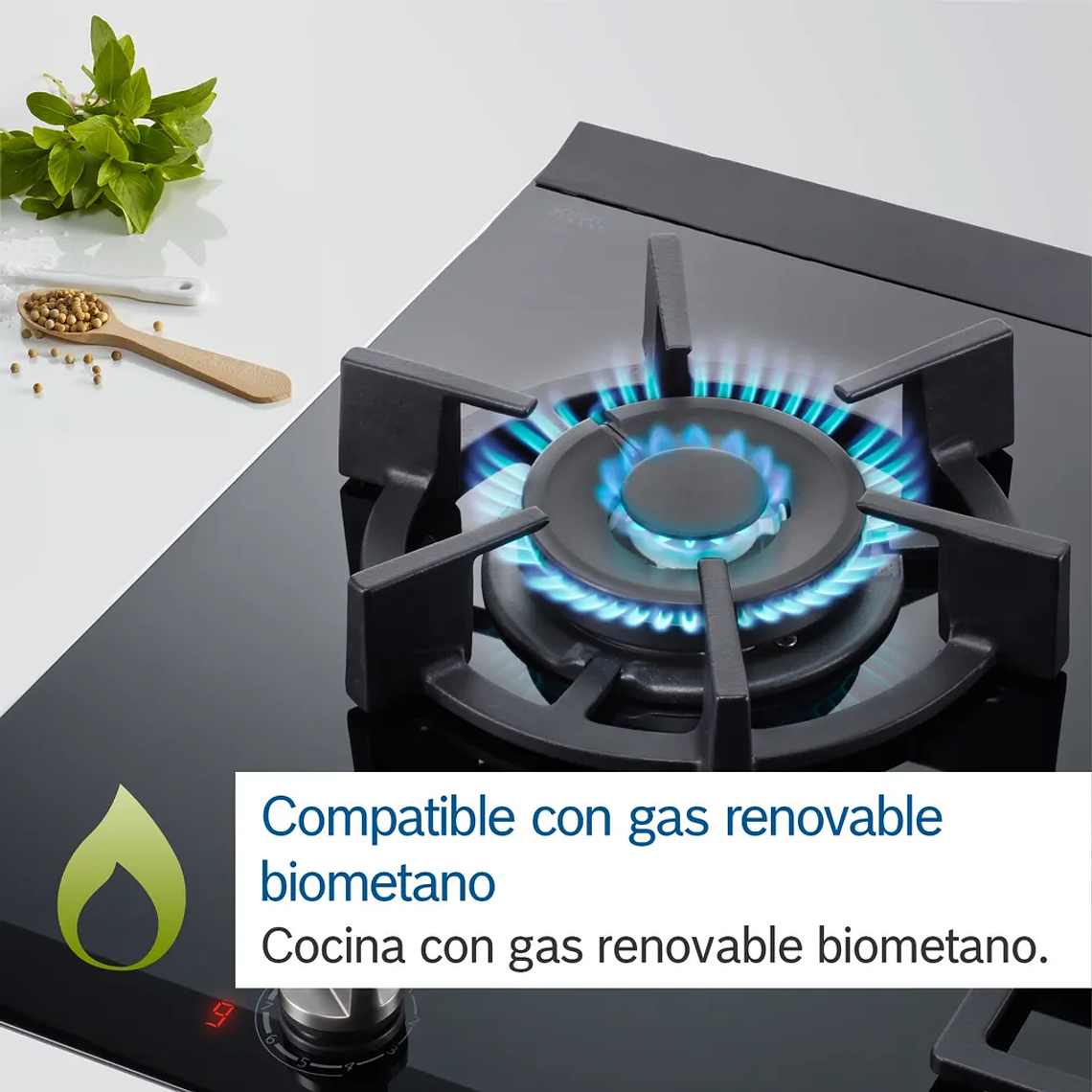 Serie 6 Placa de gas 60 cm Vidrio templado, Negro Gas Licuado 6