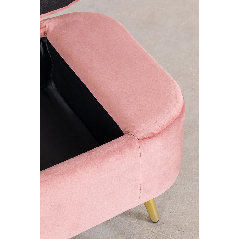 Banqueta Baúl en Terciopelo Izadi peonia 6