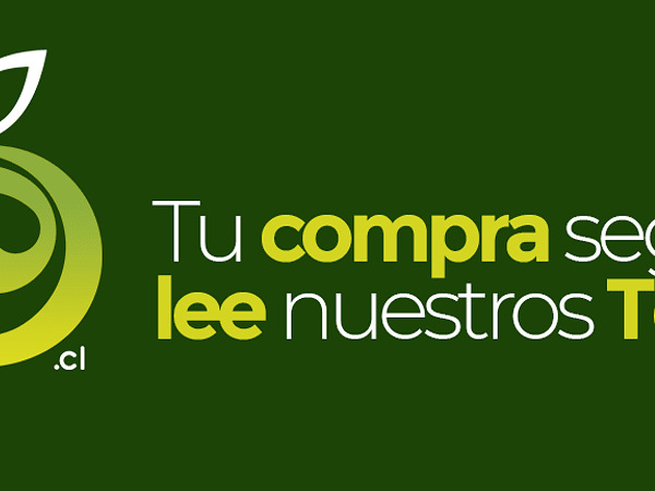 Términos y Condiciones