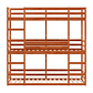 Camarote triple de madera maciza de pino marrón cera 75x190 cm - Miniatura 5