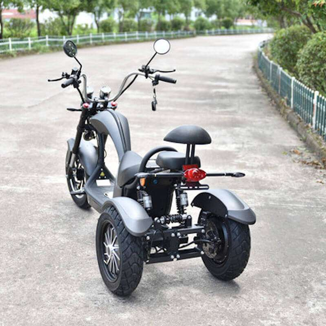 Patinete CityCoco COBRA 2000W Matriculable Negro 8