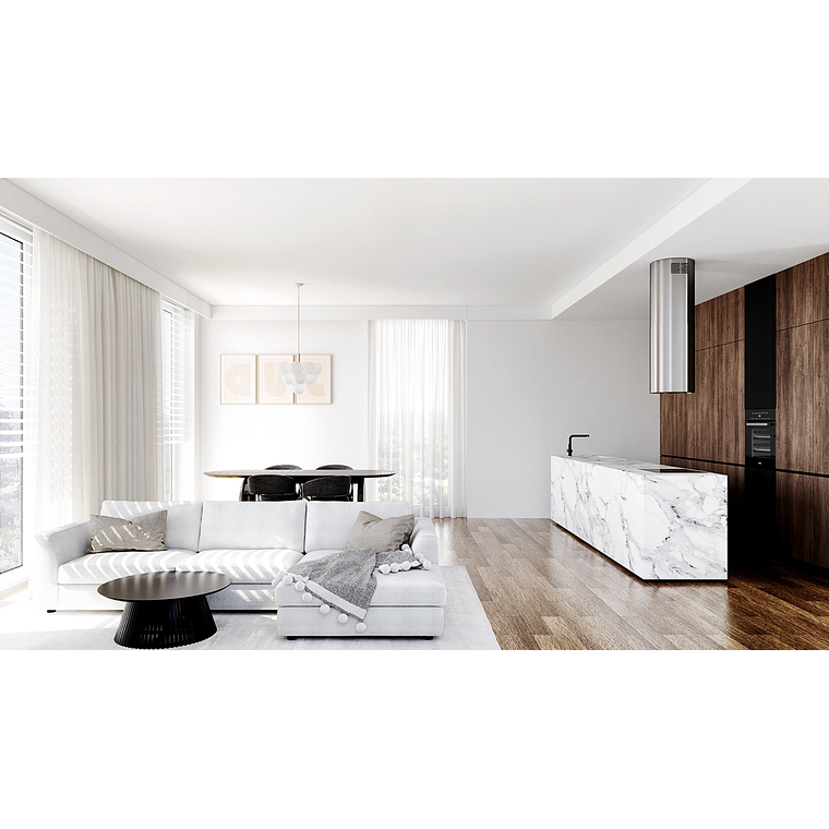 Campana Isla Silenciosa - 39 cm - 570 m³/h - LOBELIO - Inox 5