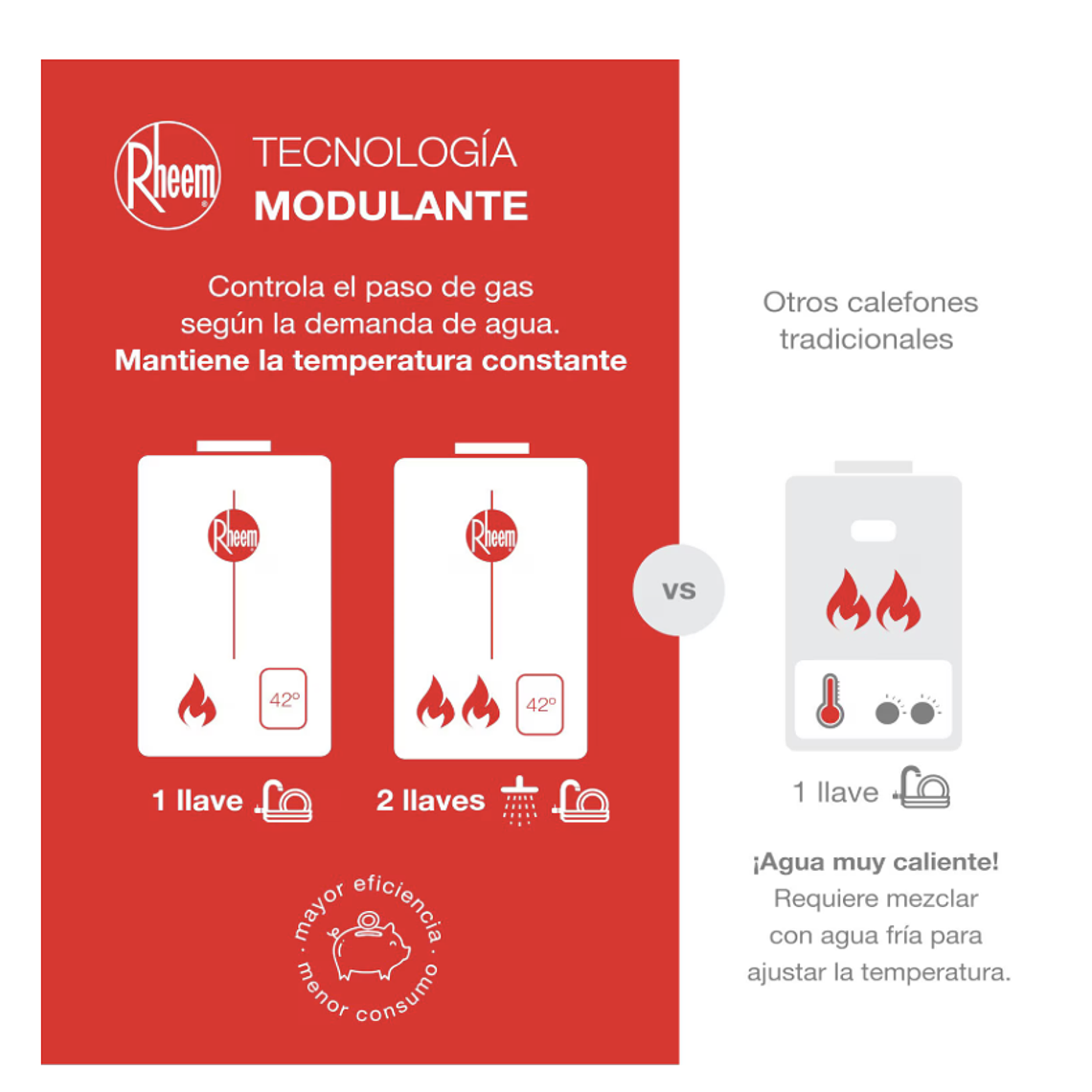 CALEFONT DIGITAL 10 LITROS GAS LICUADO TIRO NATURAL RHEEM 3
