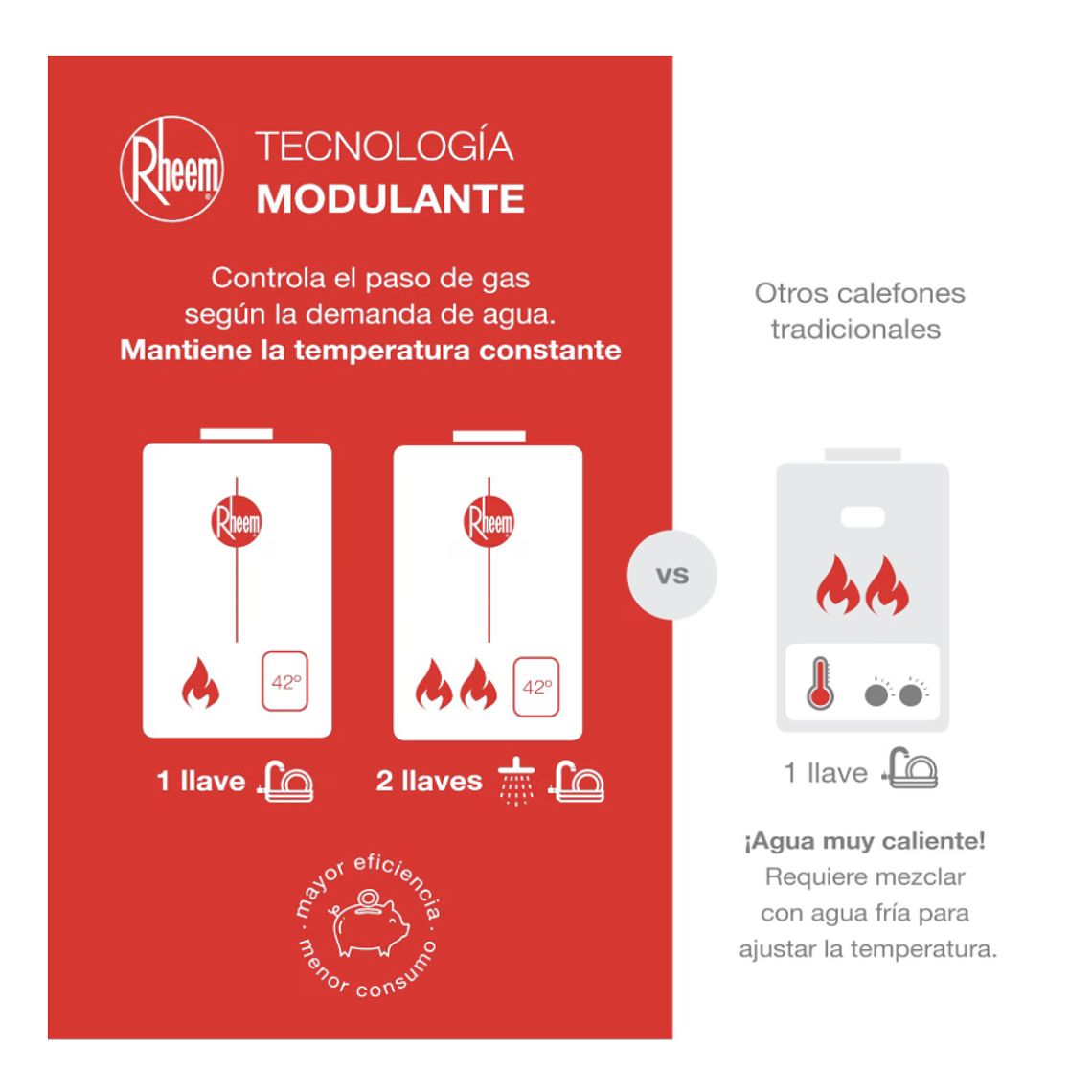 CALEFONT DIGITAL 11 LITROS GAS LICUADO TIRO NATURAL RHEEM 3
