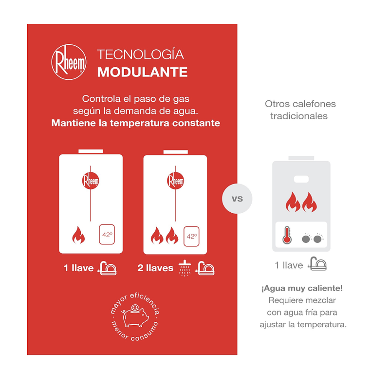CALEFONT 16 LITROS GAS NATURAL TIRO NATURAL RHEEM 3