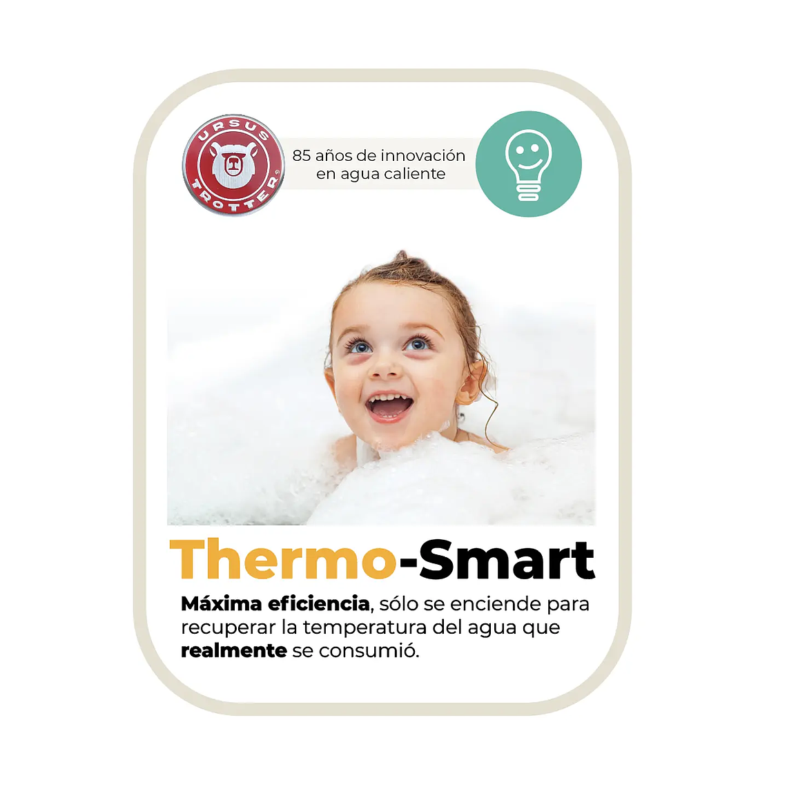 TERMO ELÉCTRICO ACERO INOXIDABLE URSUS TROTTER UT 50L 2KW - REGIONES 7