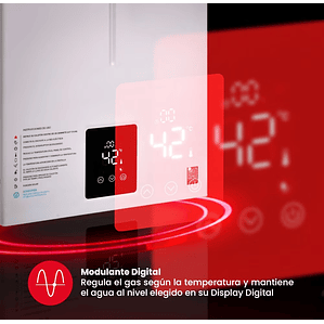 CALEFONT DIGITAL 14 LITROS GAS LICUADO TIRO FORZADO RHEEM