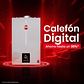 PACK CALEFONT RHEEM 10L. T.FORZADO G.LICUADO + KIT DUCTO - Miniatura 3