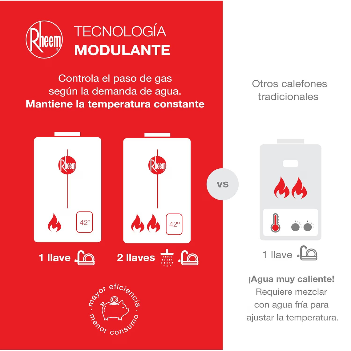 CALEFONT 14 LITROS GAS NATURAL TIRO NATURAL RHEEM 6