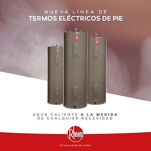 TERMO ELÉCTRICO DE PISO 76 LITROS 220V RHEEM