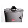 TERMO A GAS LICUADO RHEEM 375 LITROS