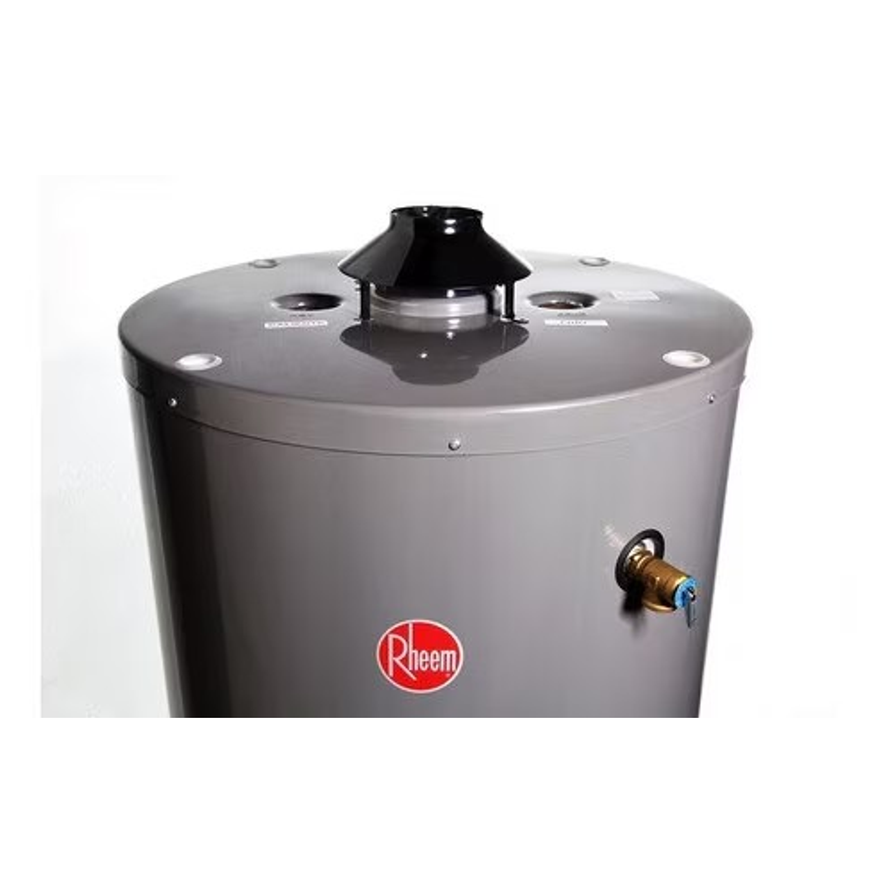 TERMO A GAS LICUADO RHEEM 375 LITROS