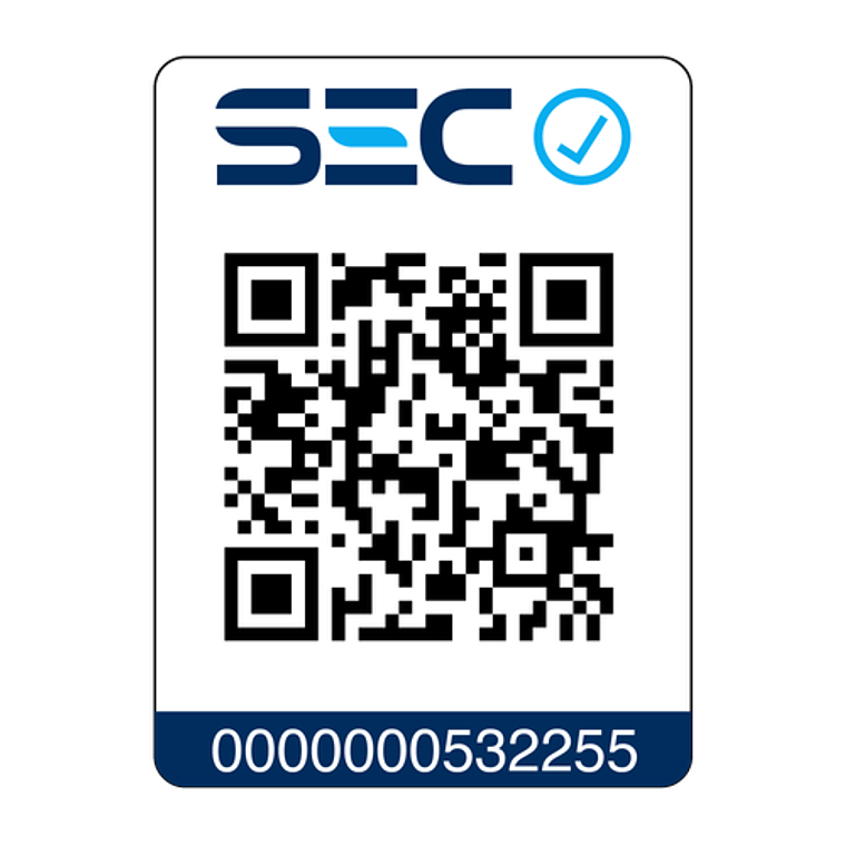 ASPIRADORA VERTICAL INALÁMBRICA ELECTROLUX ERGORAPIDO CÍCLONICA EFFICIENT 2 EN 1 ERG019 AZUL 15