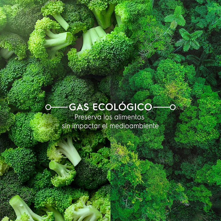 REFRIGERADOR MADEMSA 285L NO FROST BOTTOM FREEZER INVERTER EFFICIENT MI60S INOX 9