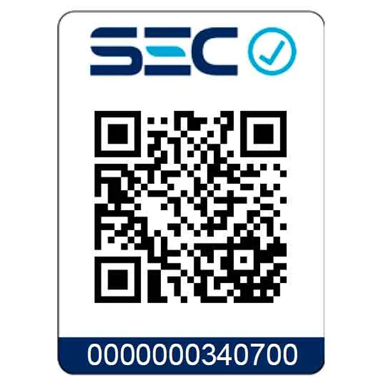 PLANCHA DE VAPOR OSTER CON BASE DE CERÁMICA GCSTBS6052 10