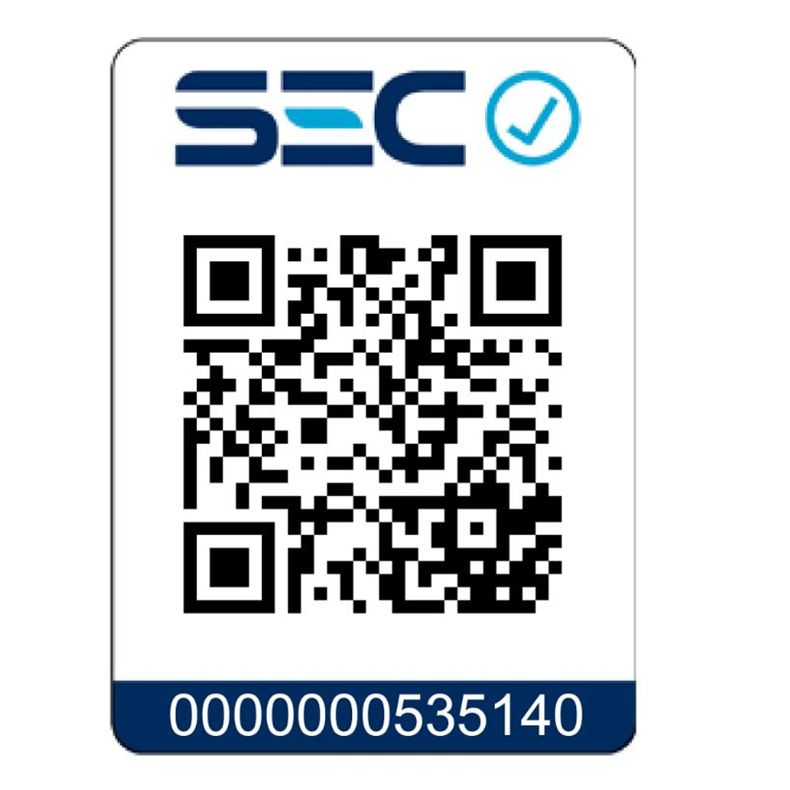 Pack Central de Agua Caliente Sanitaria Instantánea 144 kW Gas Licuado 6