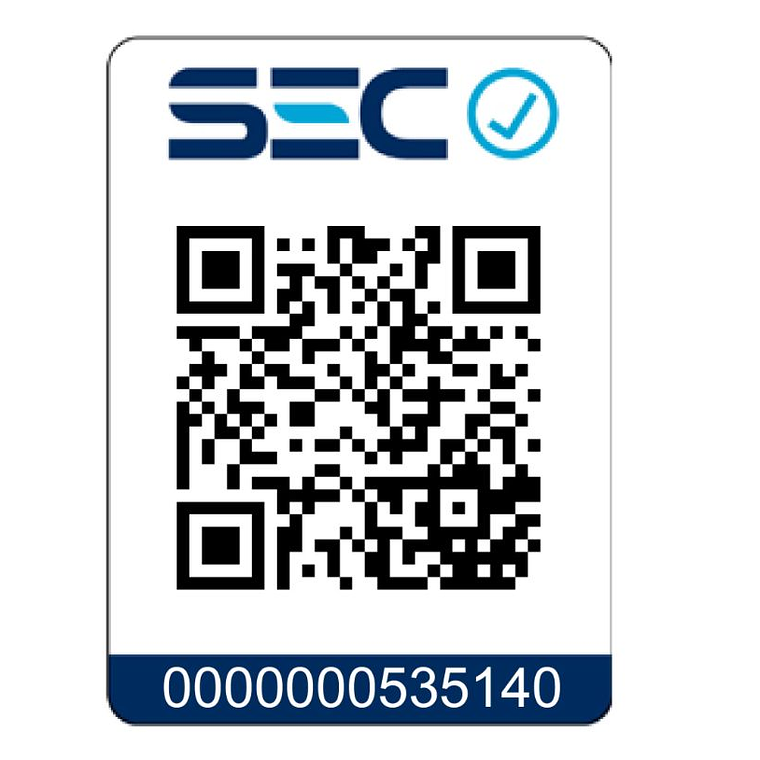 Pack Central de Agua Caliente Sanitaria Instantánea 144 kW Gas Licuado 6