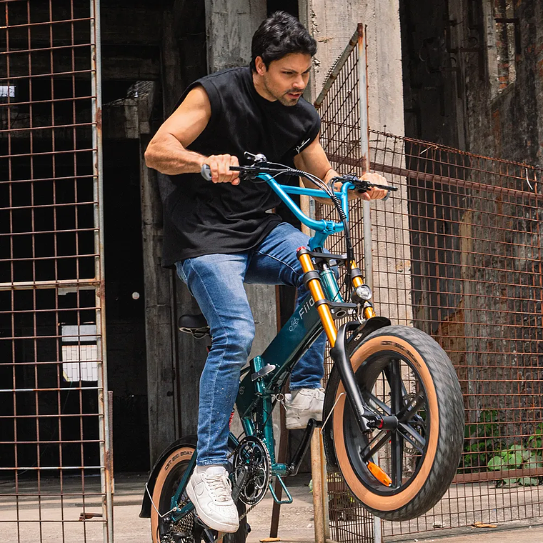 Bicicleta Eléctrica Plegable Fiido M1 Pro con Ruedas Gordas Todo Terreno 10