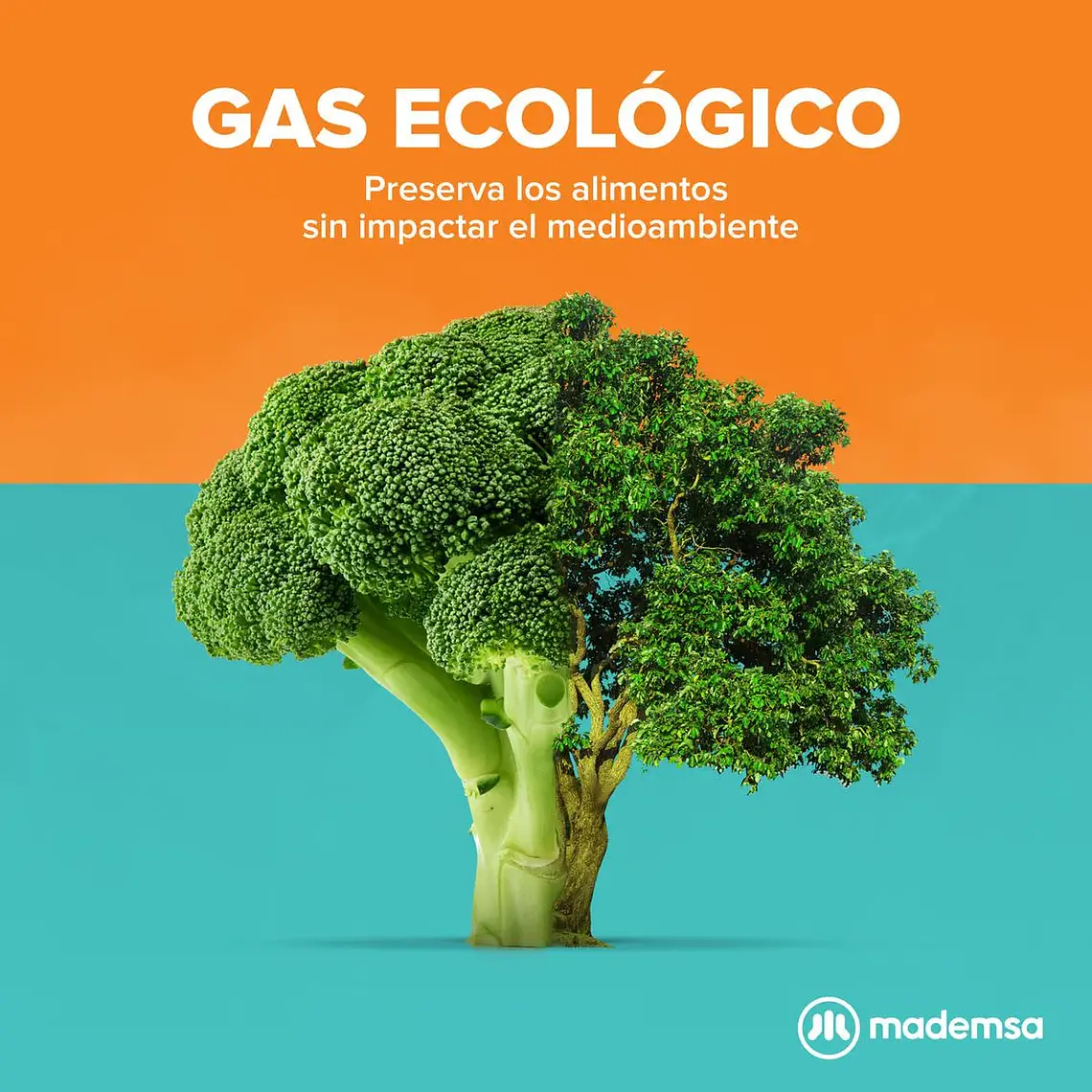 Congelador Freezer Mademsa Vertical 168L Frío Directo con Puerta Reversible MFV645B Blanco 7