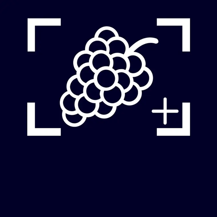 SIEMENS iQ500, Refrigerador combi integrable, 177.2 x 55.8 cm, Puerta fija 8