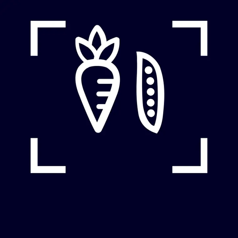 SIEMENS iQ300, Refrigerador de libre instalación, 186 x 60 cm, Blanco 13