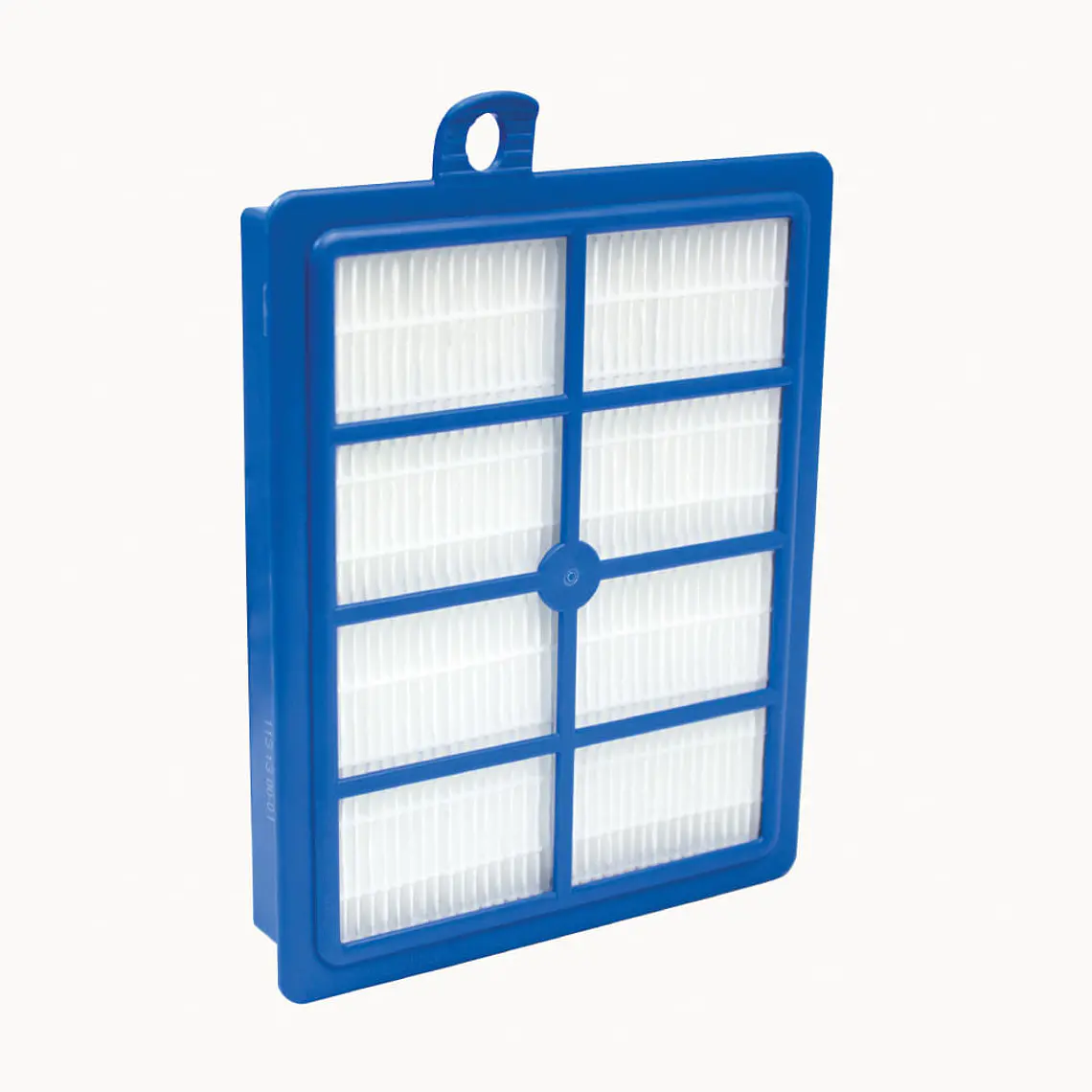 Filtro HEPA Aspiradora Electrolux ESF1W/PFC02/CYC01/USR31 2
