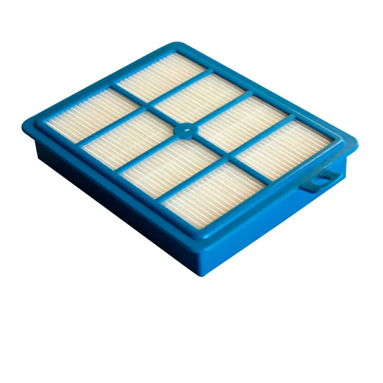 Filtro HEPA Aspiradora Electrolux ESF1W/PFC02/CYC01/USR31 3
