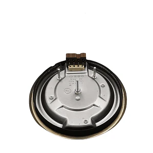 Plato Quemador Encimera Eléctrica 1500W R145